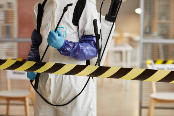 Professional Hoarding Cleanup technician working in Shirley, IN